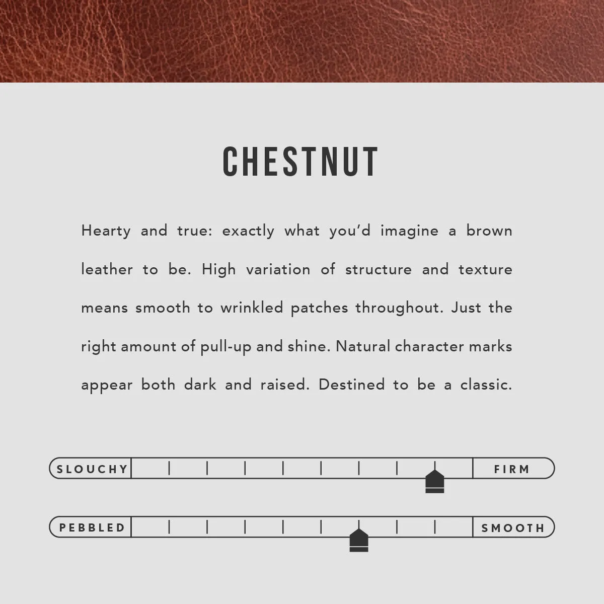 'Almost Perfect' Lovebug Wallet