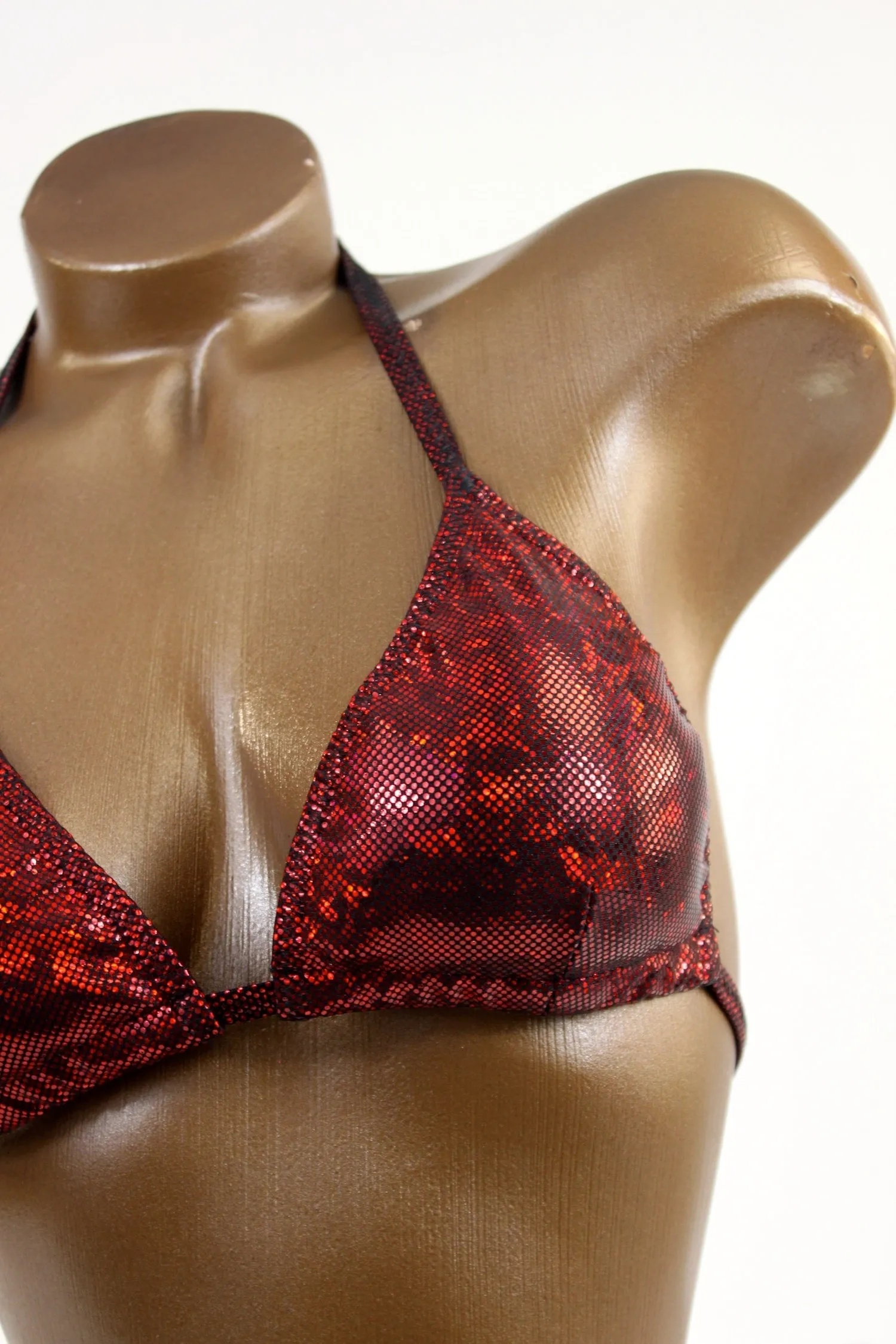 Dark Red Hologram Practice Bikini Suit