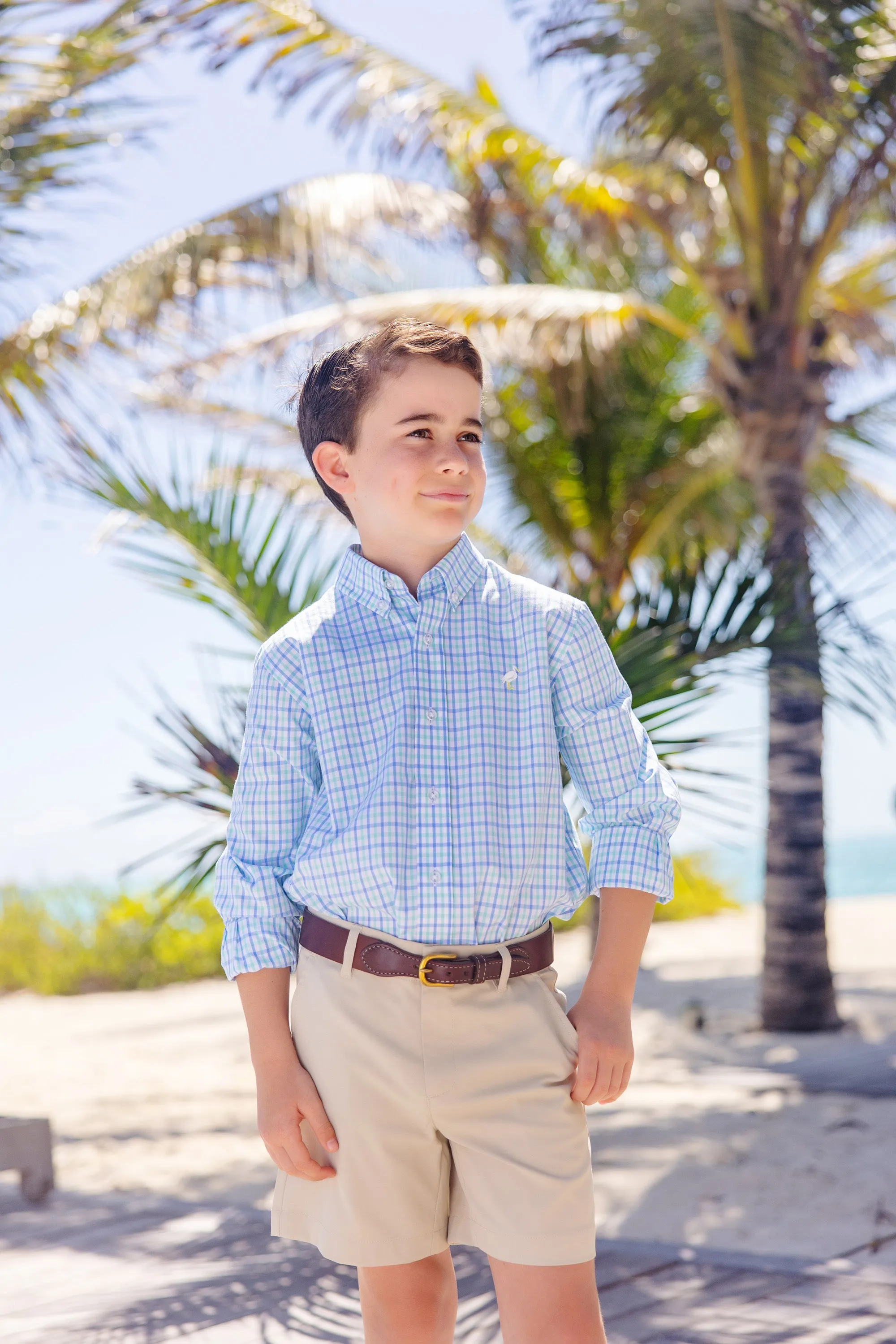Dean's List Dress Shirt - Sunrise Blvd. Blue & Turks Teal Chandler Check with Multicolor Stork