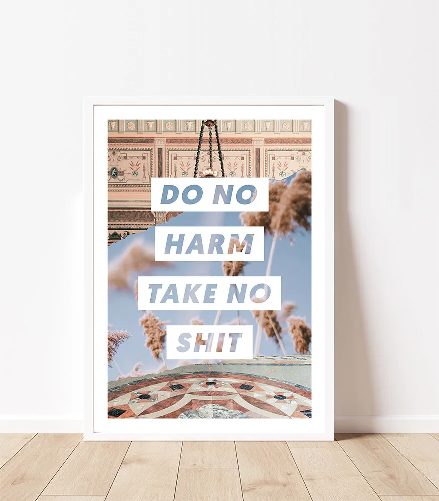 Do No Harm, Take No Shit Wall Art