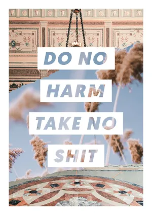Do No Harm, Take No Shit Wall Art