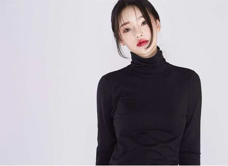 Gorgeous Turtle Neck Top