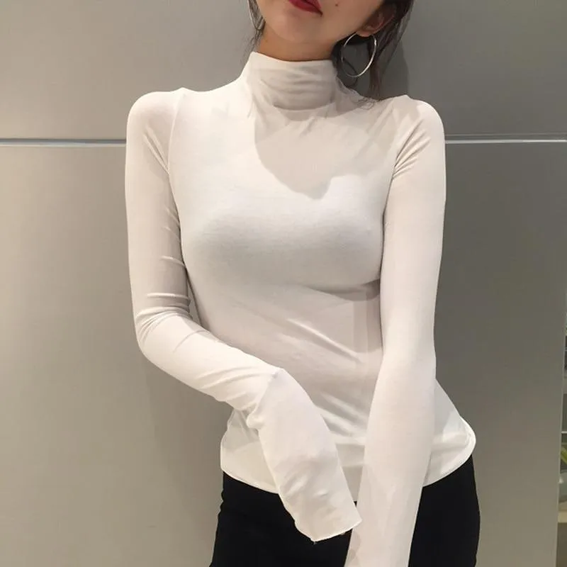 Gorgeous Turtle Neck Top