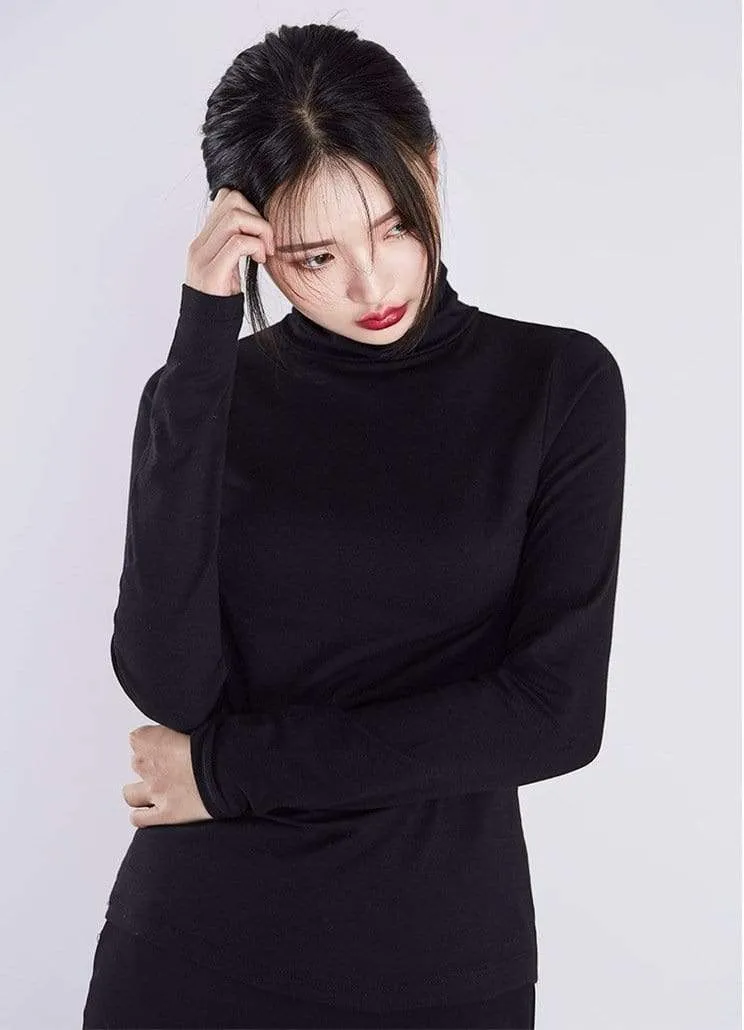 Gorgeous Turtle Neck Top