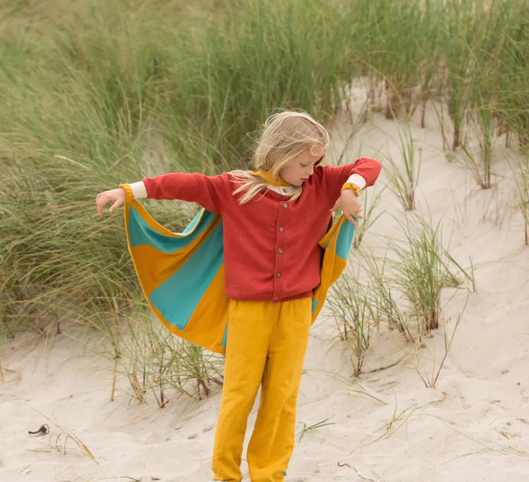Little Green Radicals From One to Another Rainbow Sweater