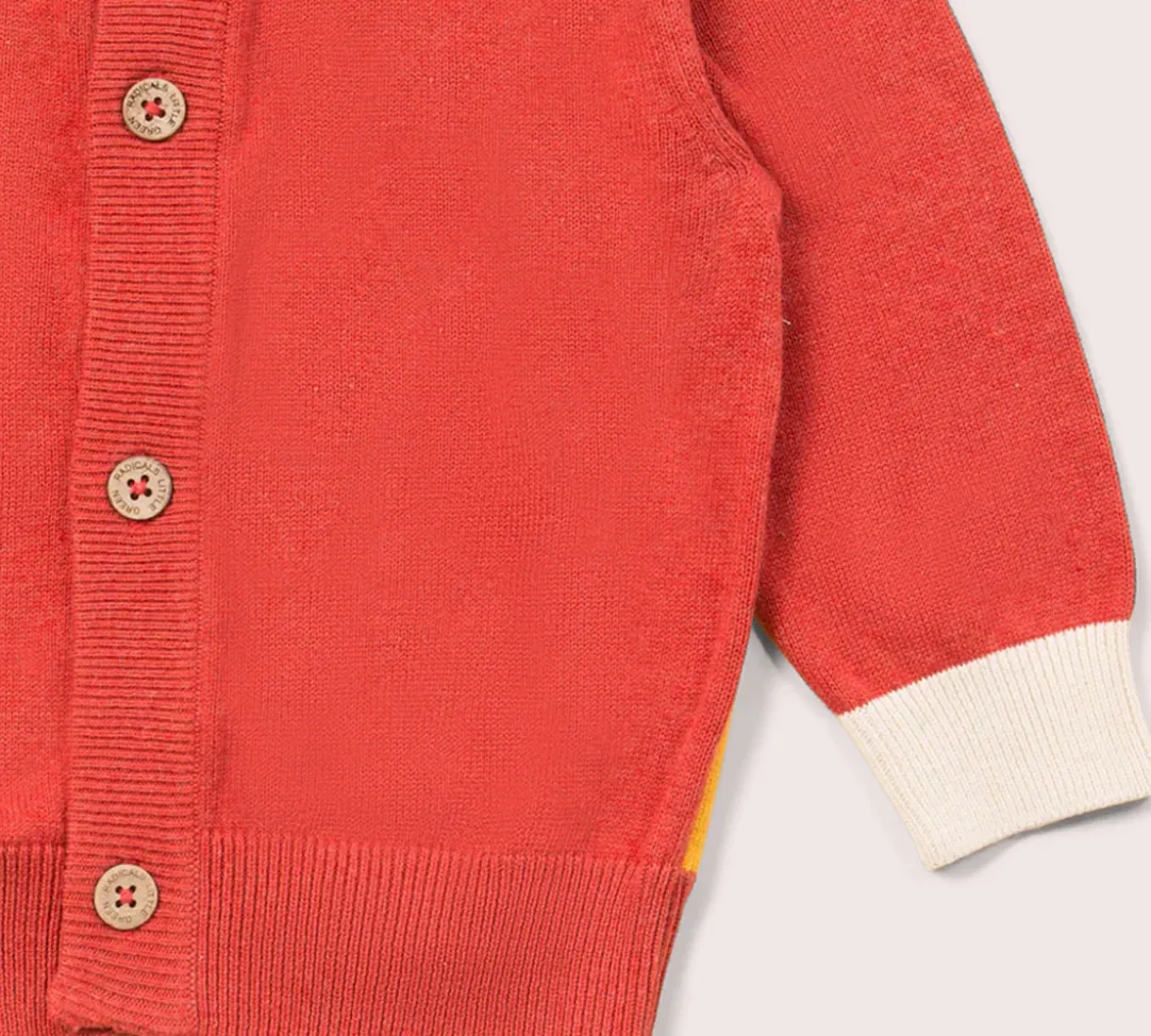 Little Green Radicals From One to Another Rainbow Sweater