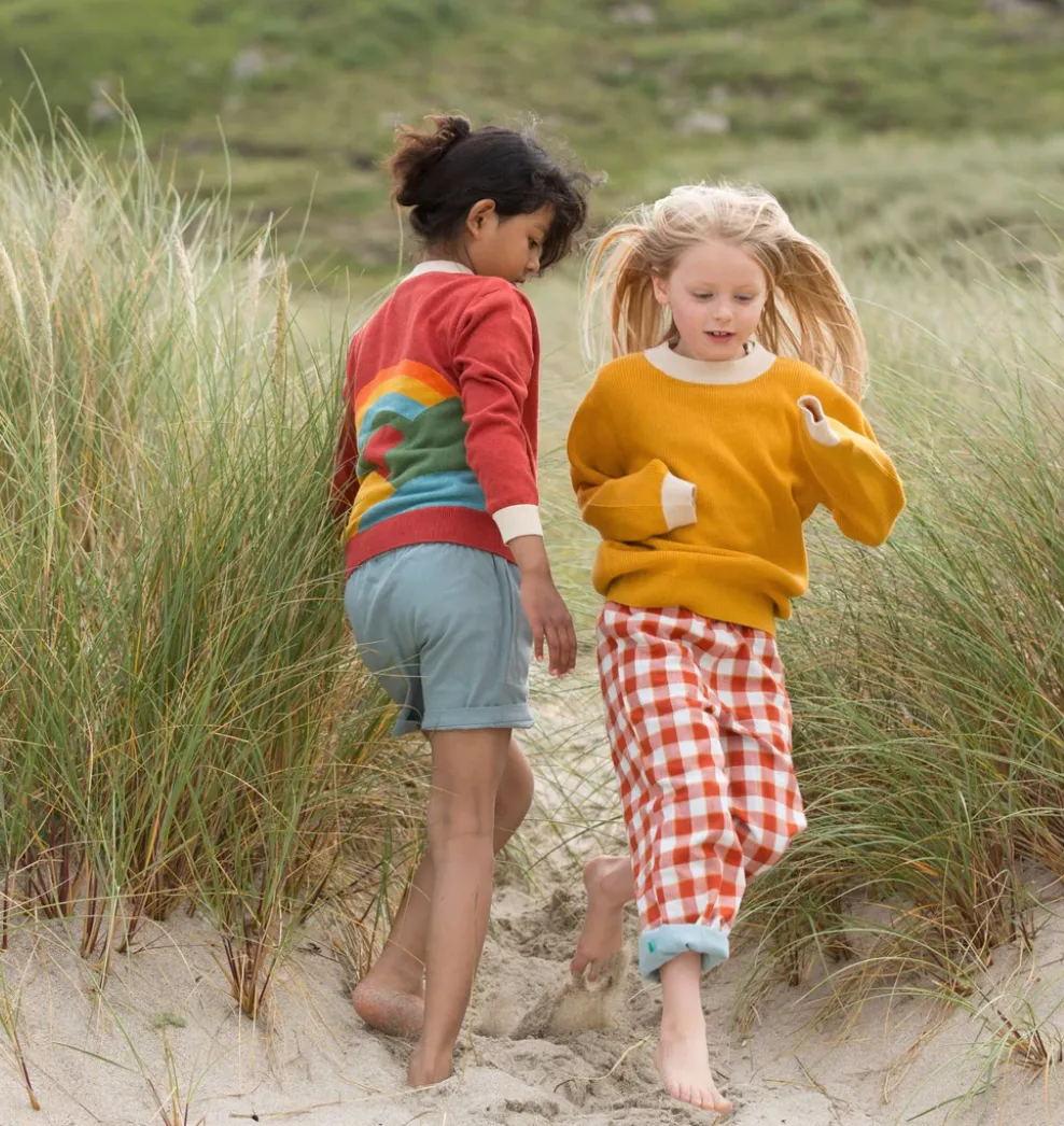 Little Green Radicals From One to Another Rainbow Sweater