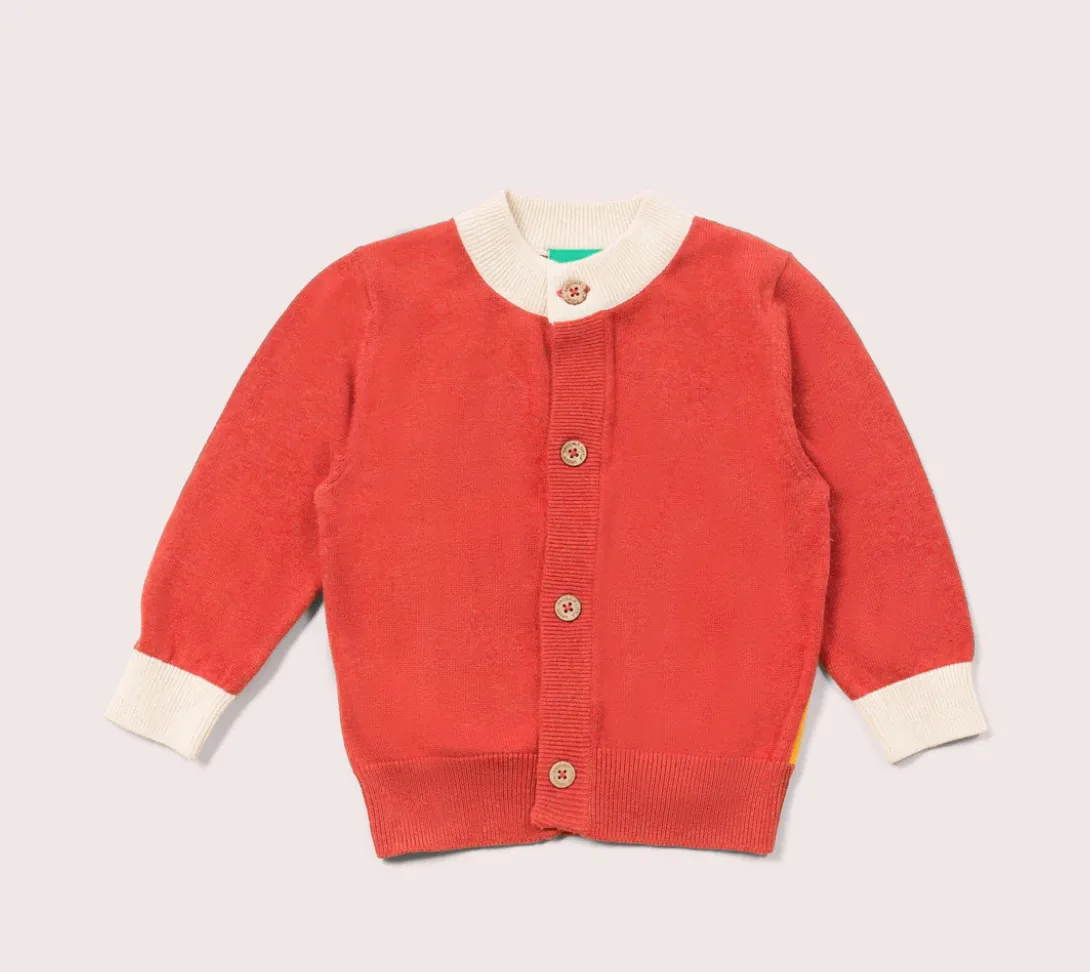Little Green Radicals From One to Another Rainbow Sweater