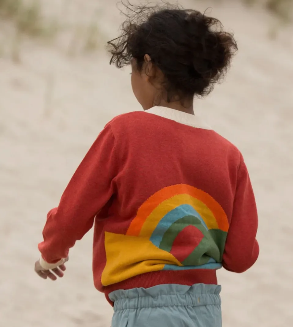 Little Green Radicals From One to Another Rainbow Sweater