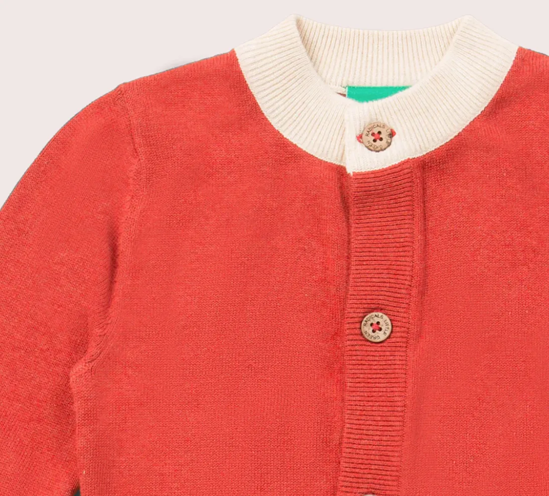 Little Green Radicals From One to Another Rainbow Sweater