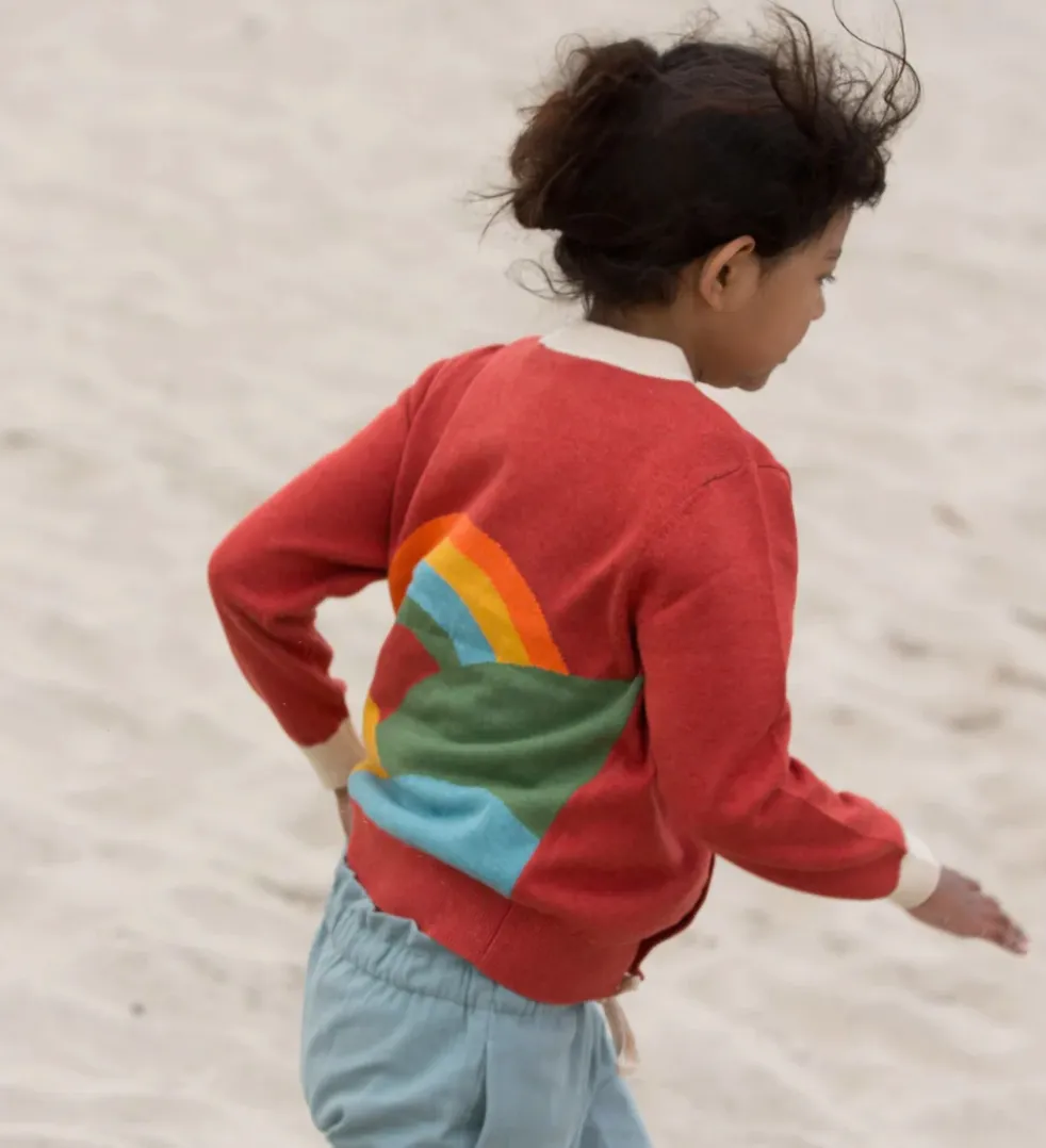 Little Green Radicals From One to Another Rainbow Sweater