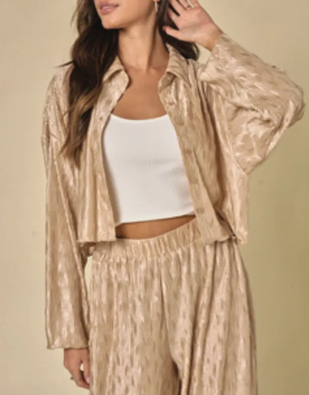 Long Sleeve Button Down Cropped Top