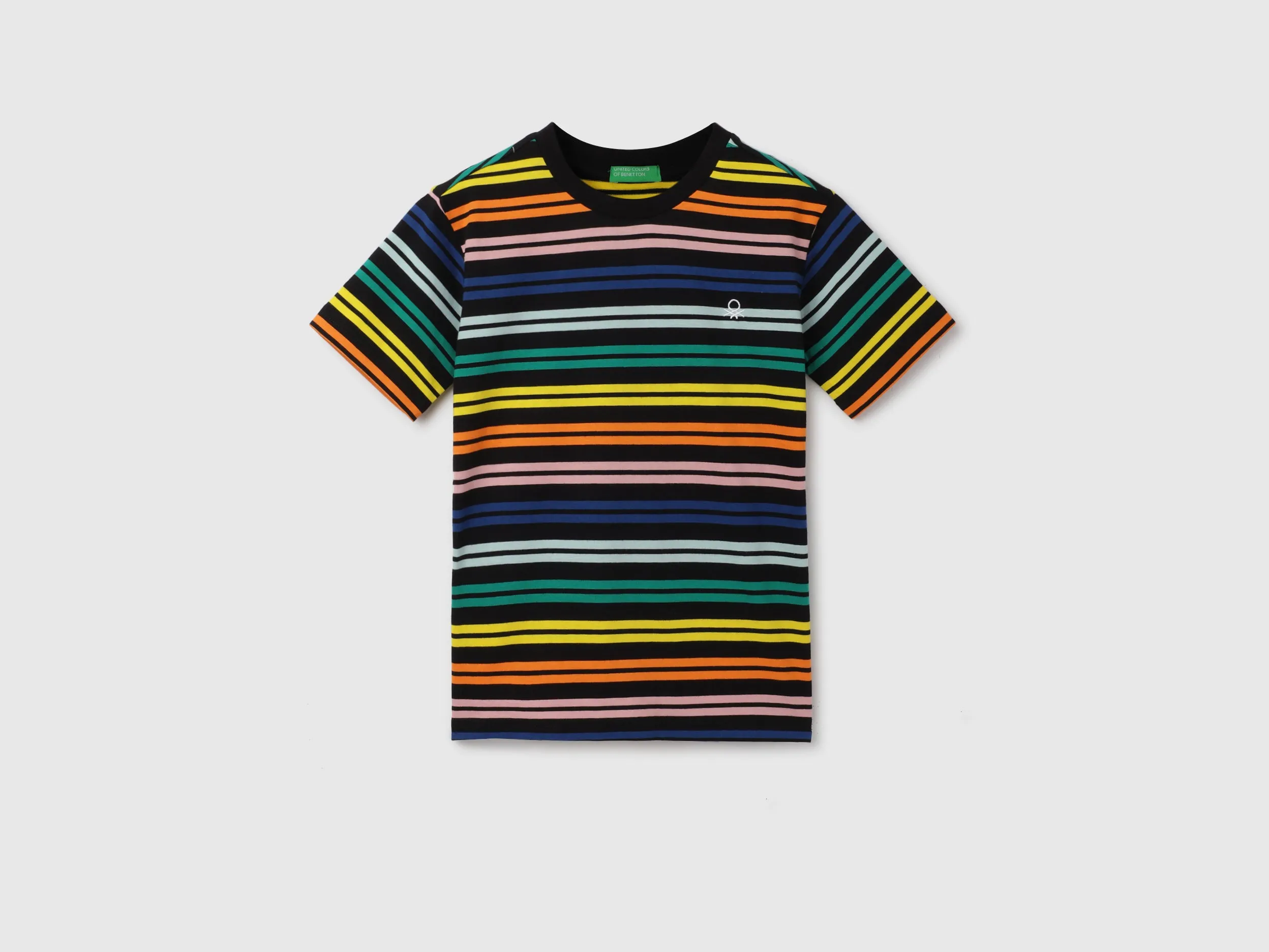 Regular Fit Round Neck Striped Pattern T-shirt