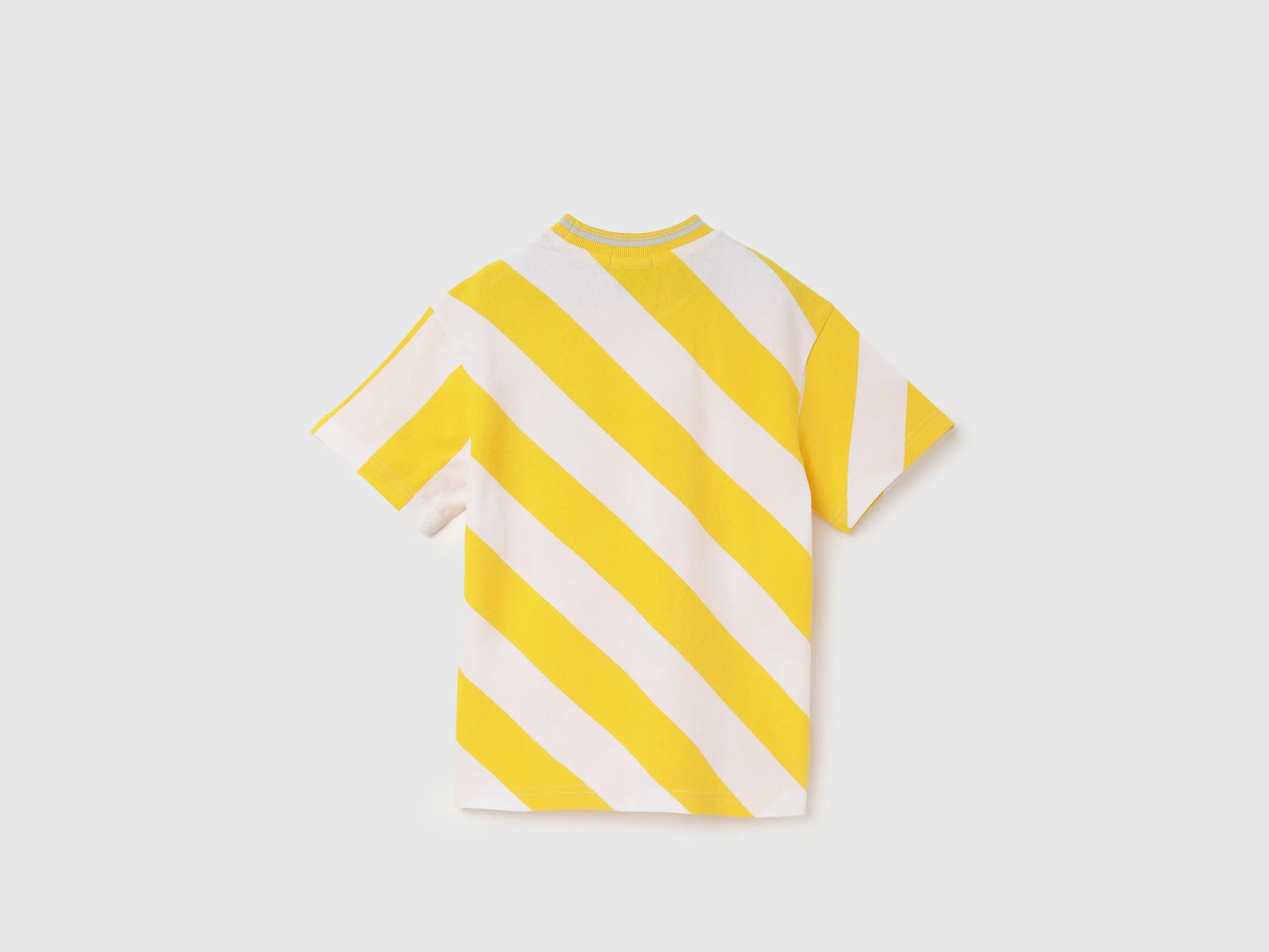 Regular Fit Round Neck Striped T-Shirt