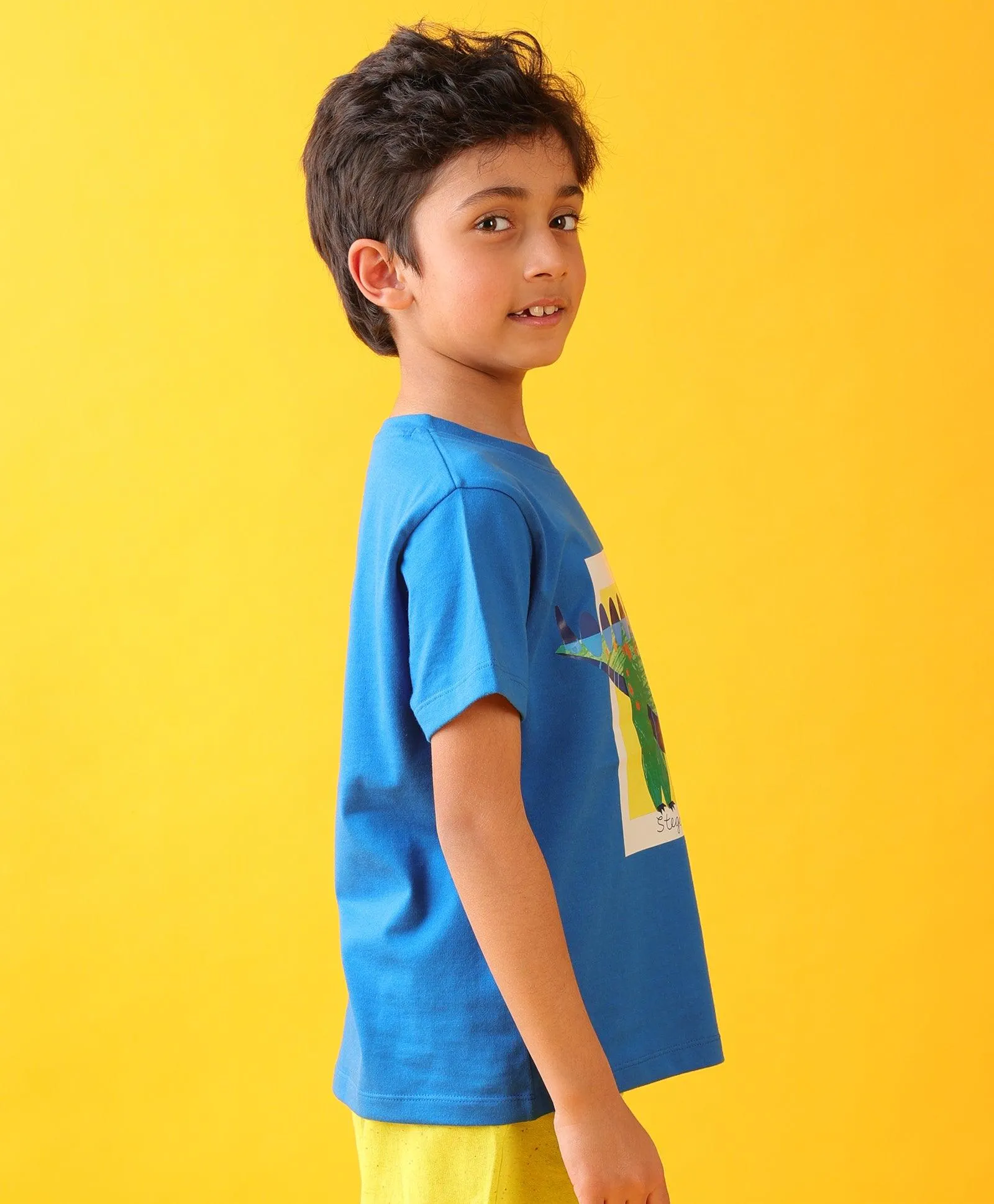 STEGOSAURUS ROYAL SHORT SLEEVE SUMMER BOYS T-SHIRT - ROYAL