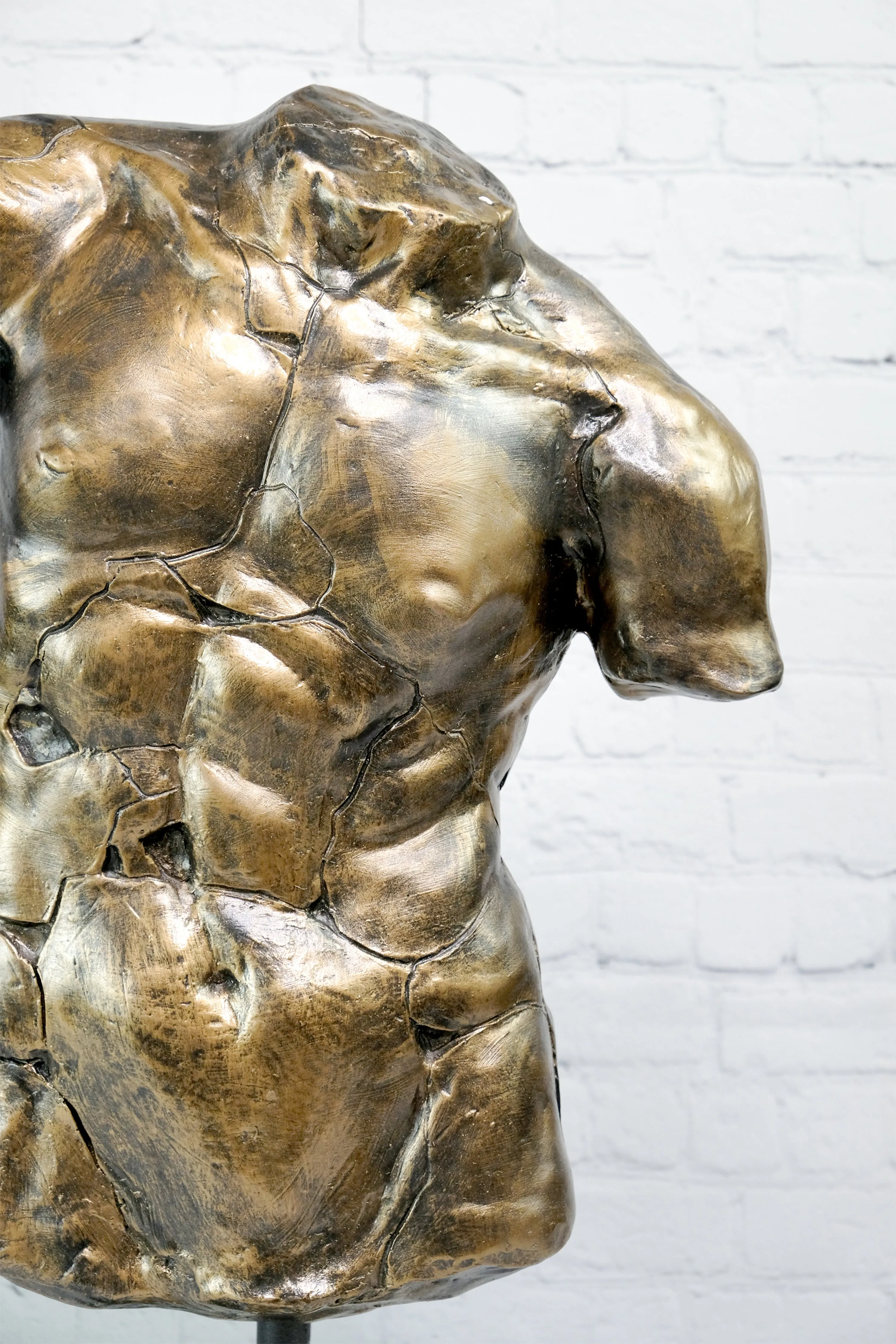 Torso of an athlete Apollo in Black & Gold (   more colors)