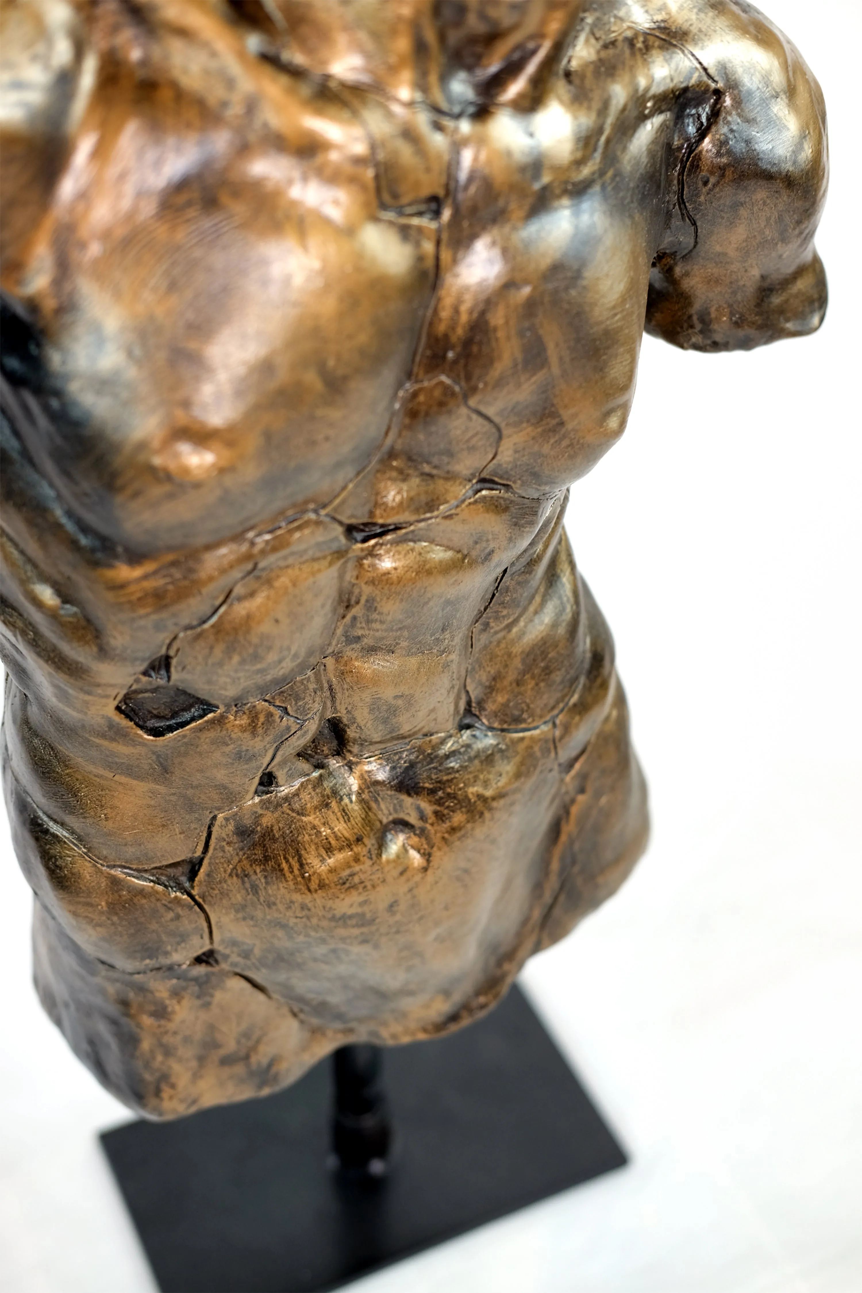 Torso of an athlete Apollo in Black & Gold (   more colors)